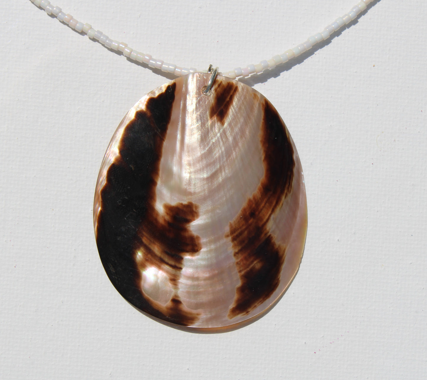 Shell Necklace